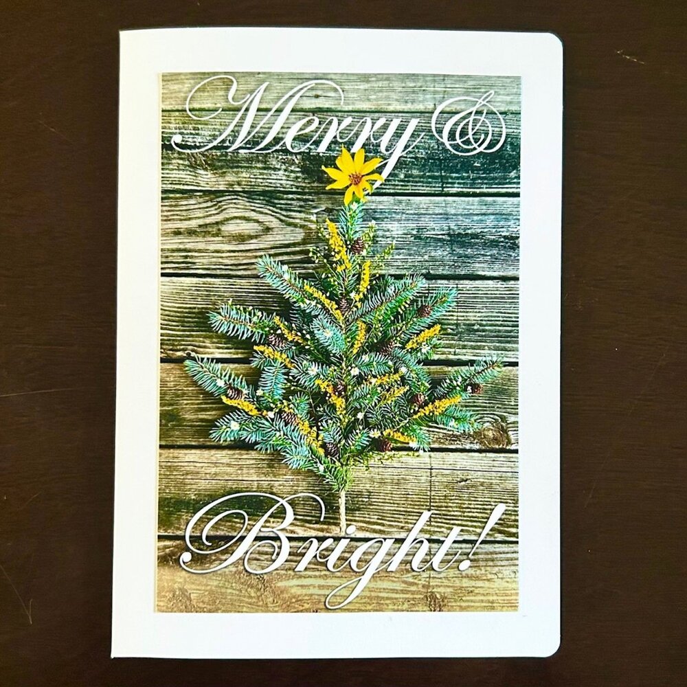 10 Blank Christmas Cards, Midwest Christmas, Christmas in July, 5” x 7”